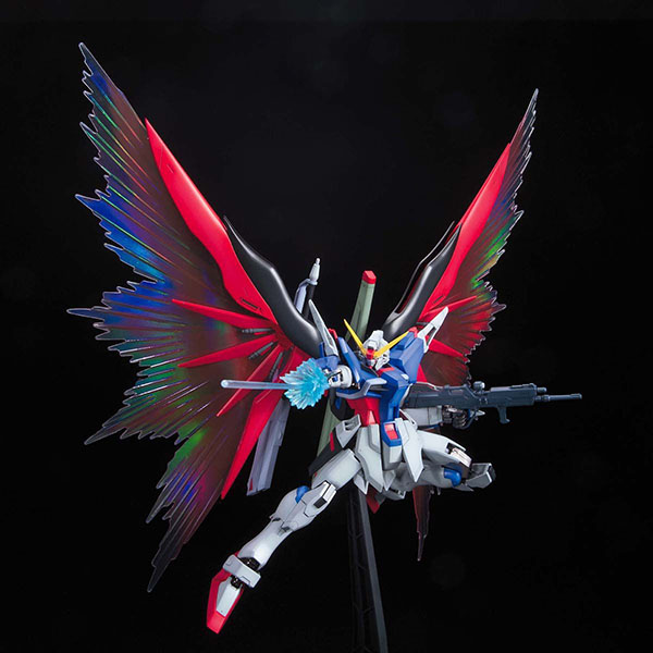 【BANDAI】代理版 組裝模型 MG 1/100 鋼彈 Seed Destiny 命運鋼彈  光之翼 特別豪華版