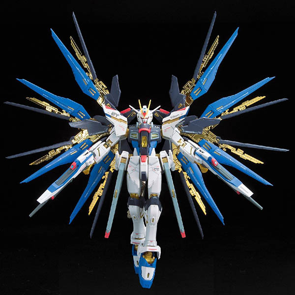 【現貨】BANDAI 組裝模型 RG 1/144 機動戰士鋼彈 GUNDAM ZGMF-X10A 攻擊自由鋼彈 14