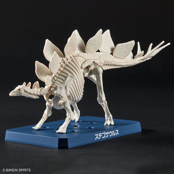【BANDAI】代理版 組裝模型 新恐龍品牌 劍龍