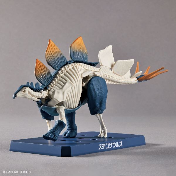 【BANDAI】代理版 組裝模型 新恐龍品牌 劍龍