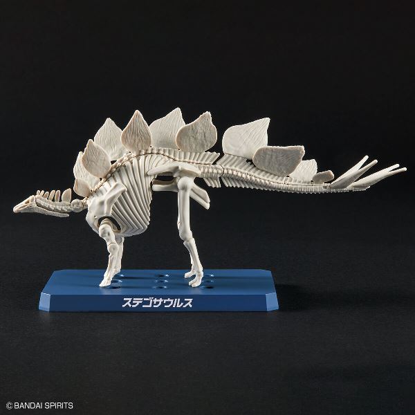 【BANDAI】代理版 組裝模型 新恐龍品牌 劍龍