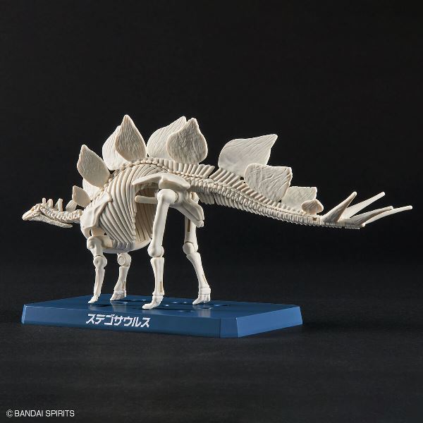 【BANDAI】代理版 組裝模型 新恐龍品牌 劍龍