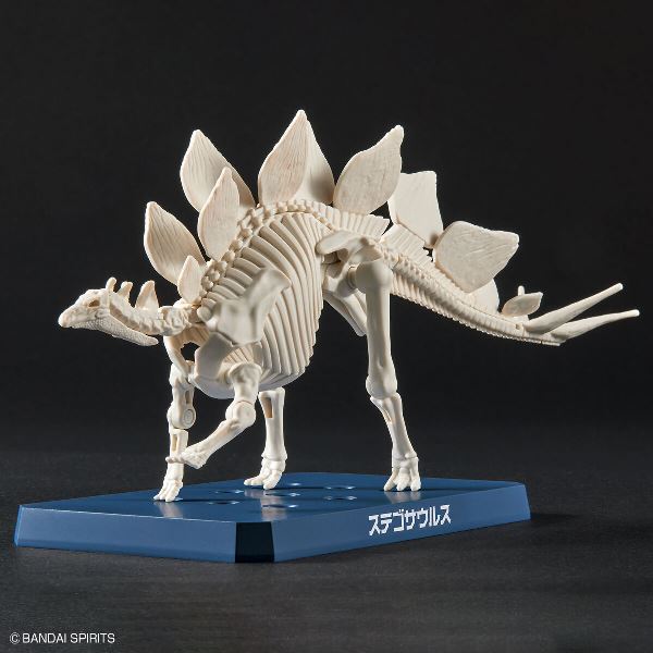 【BANDAI】代理版 組裝模型 新恐龍品牌 劍龍