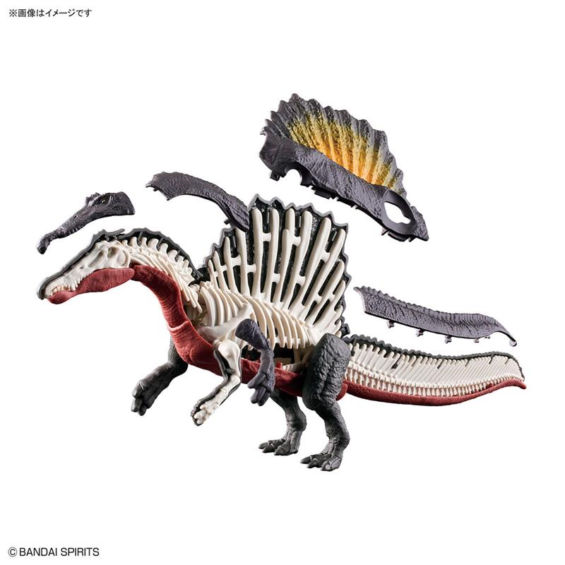 【現貨】BANDAI 代理版 恐龍組裝模型 棘龍