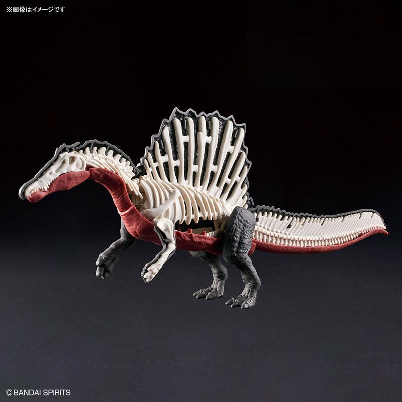【現貨】BANDAI 代理版 恐龍組裝模型 棘龍