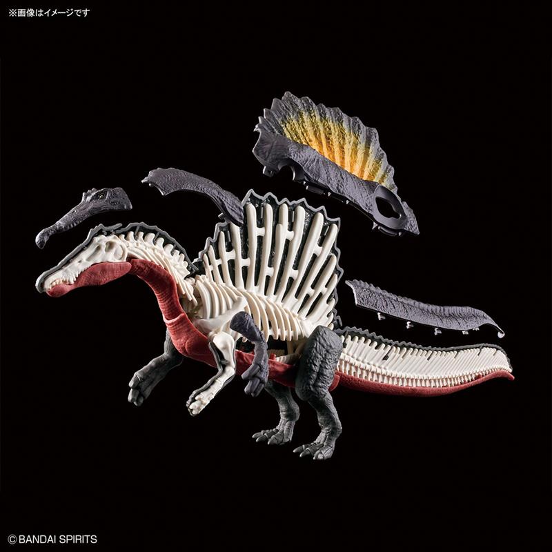 【現貨】BANDAI 代理版 恐龍組裝模型 棘龍
