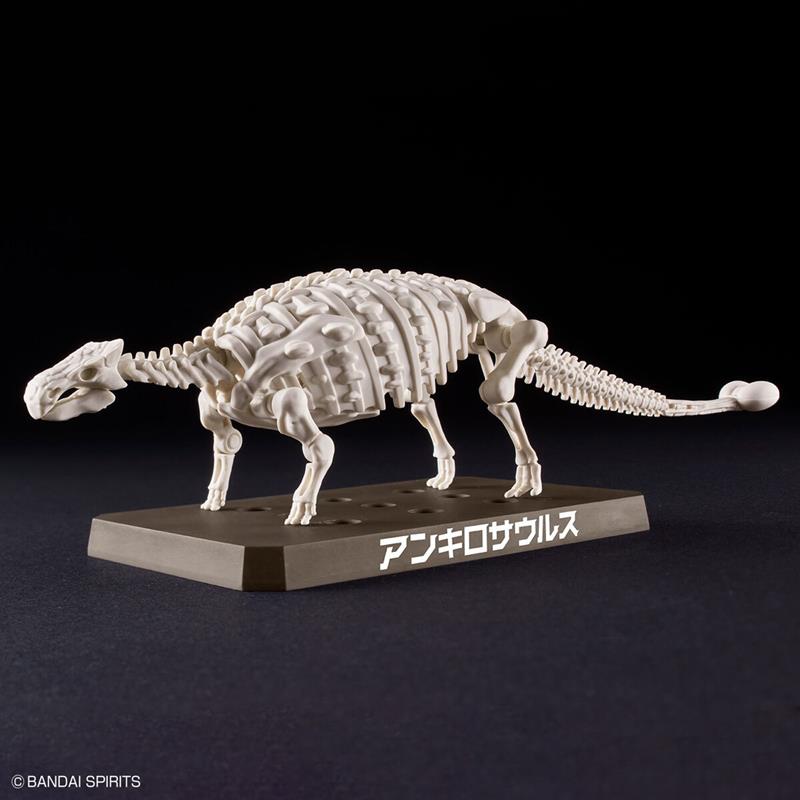 【BANDAI】代理版 組裝模型 恐龍組裝模型 甲龍