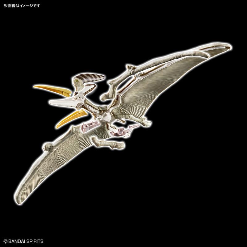 【BANDAI】代理版 恐龍組裝模型 幻想骨骼 翼手龍