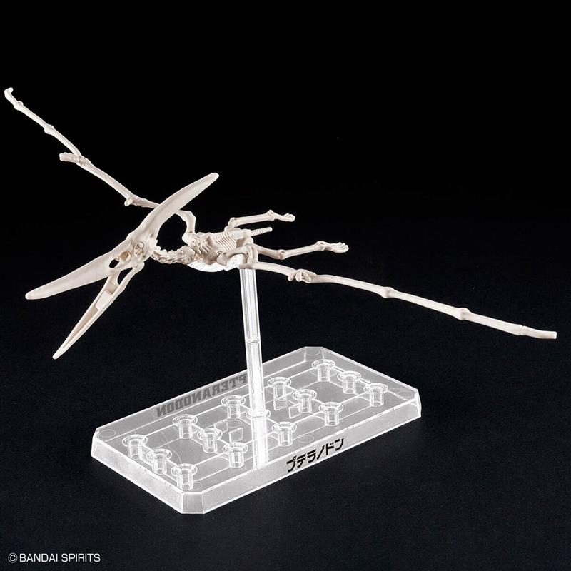 【BANDAI】代理版 恐龍組裝模型 幻想骨骼 翼手龍