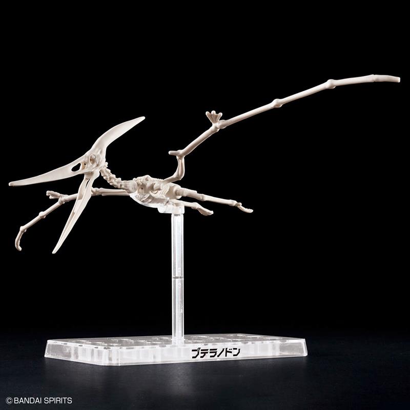【BANDAI】代理版 恐龍組裝模型 幻想骨骼 翼手龍