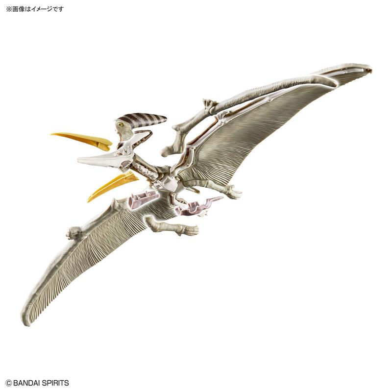 【BANDAI】代理版 恐龍組裝模型 幻想骨骼 翼手龍