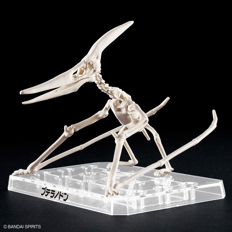 【BANDAI】代理版 恐龍組裝模型 幻想骨骼 翼手龍