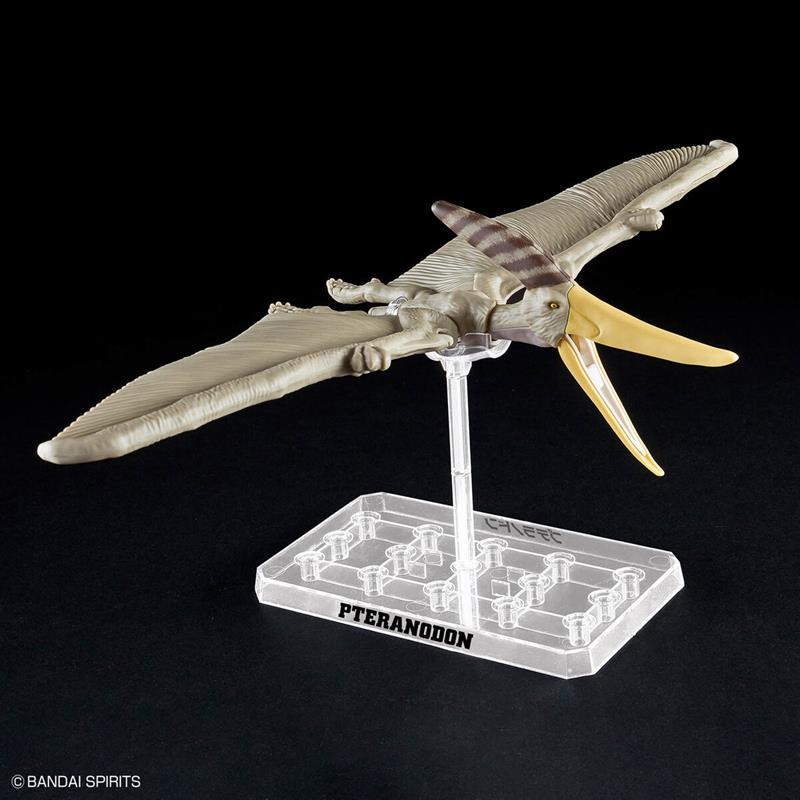 【BANDAI】代理版 恐龍組裝模型 幻想骨骼 翼手龍