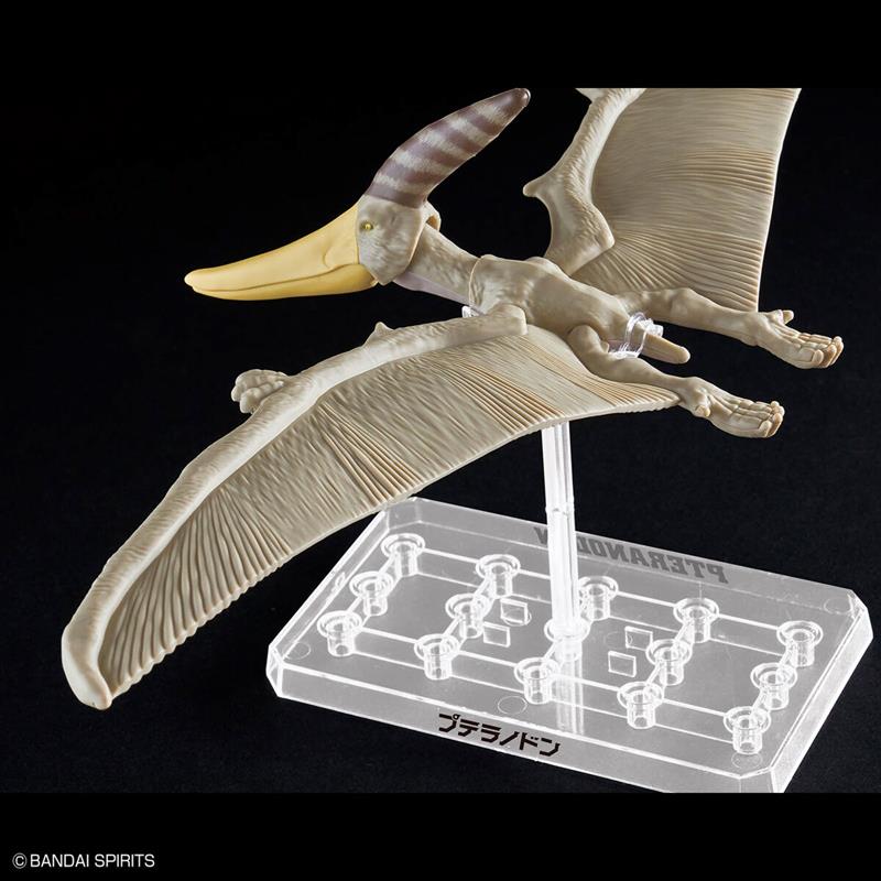 【BANDAI】代理版 恐龍組裝模型 幻想骨骼 翼手龍