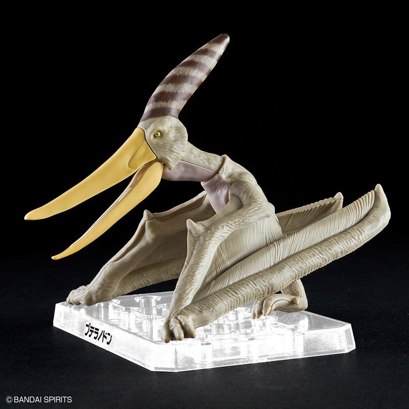 【BANDAI】代理版 恐龍組裝模型 幻想骨骼 翼手龍